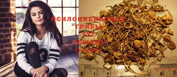 молекула духа Аркадак