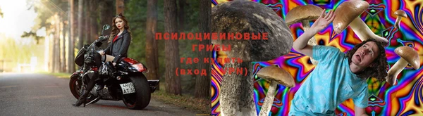 молекула духа Аркадак