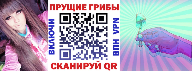 Галлюциногенные грибы MAGIC MUSHROOMS  сколько стоит  Моздок 